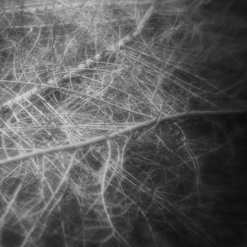 galaxia_oscarribast-5